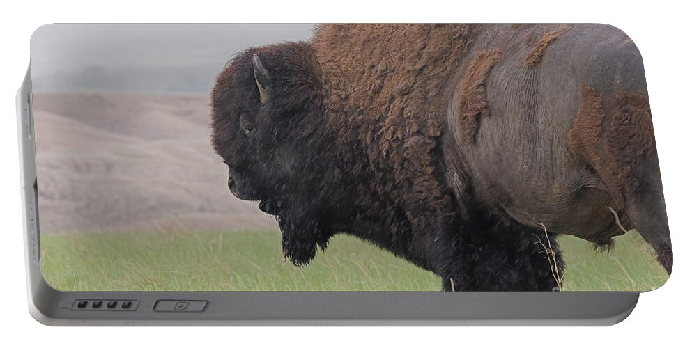 American Buffalo Portable Battery Charger featuring the photograph Bison in the Rain by Natural Focal Point Photography
