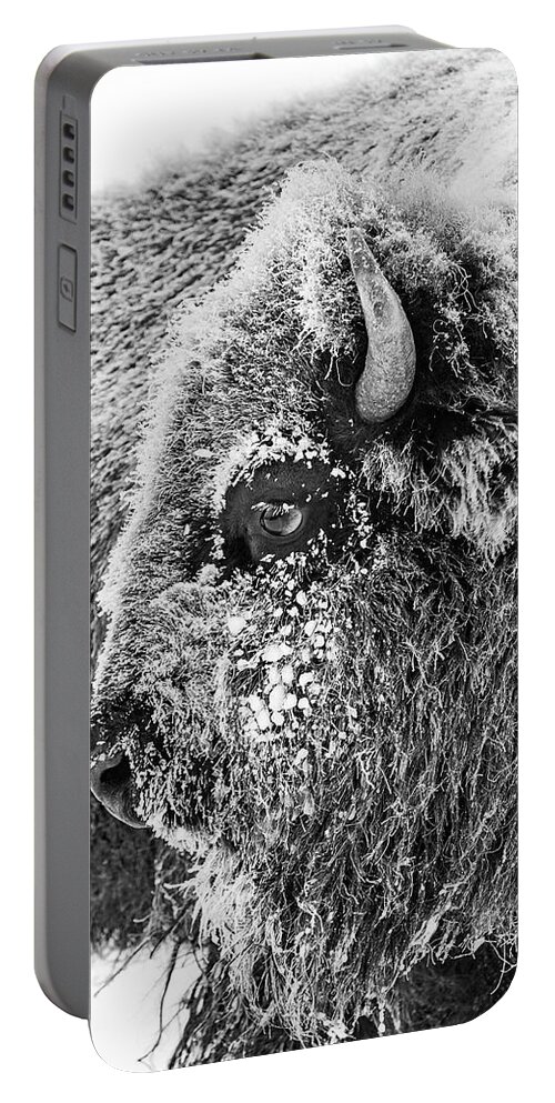 Bison Portable Battery Charger featuring the photograph Bison portrait by D Robert Franz
