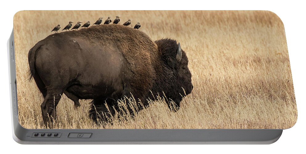 Animals Portable Battery Charger featuring the photograph Bison Uber by Linda Shannon Morgan