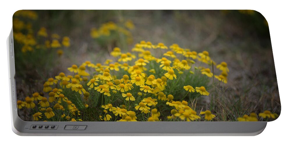 Daisy Portable Battery Charger featuring the photograph Bitter Sneezeweed by DArcy Evans