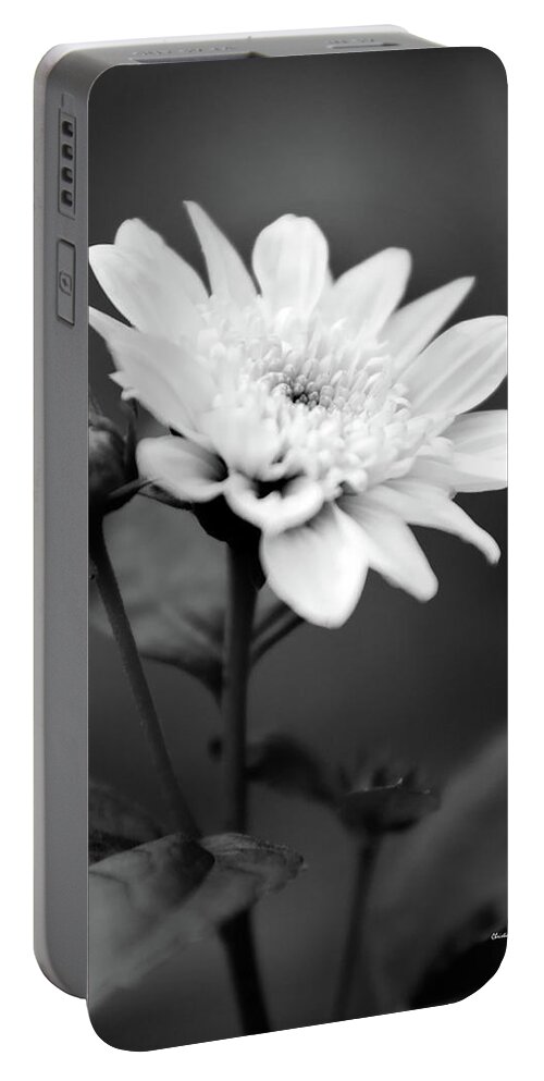 Flower Portable Battery Charger featuring the photograph Black and White Coreopsis Flower by Christina Rollo