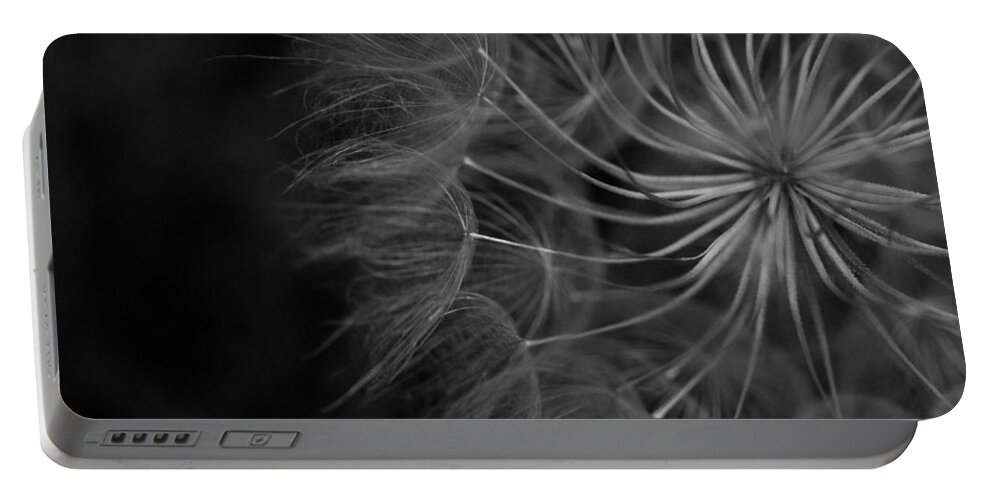Nature Portable Battery Charger featuring the photograph Black and White Dandelion 1 by Amy Fose