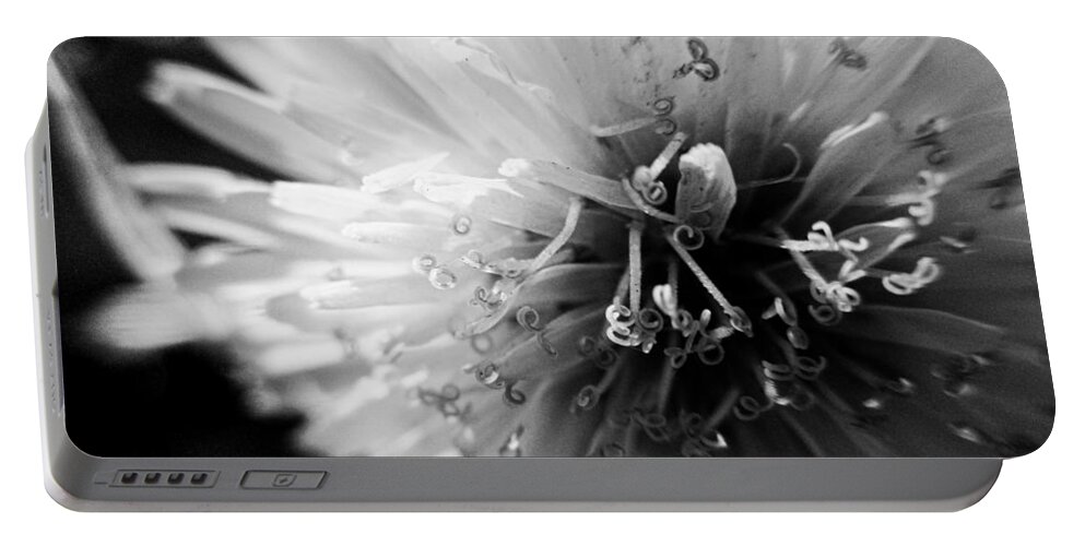 Dandelion Portable Battery Charger featuring the photograph Black and White Dandelion by W Craig Photography