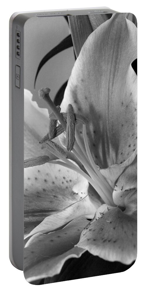 Lily Portable Battery Charger featuring the photograph Black and White Lily 1 by Amy Fose