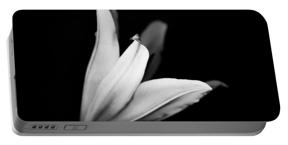Lily Portable Battery Charger featuring the photograph Black and White Lily by Carrie Hannigan