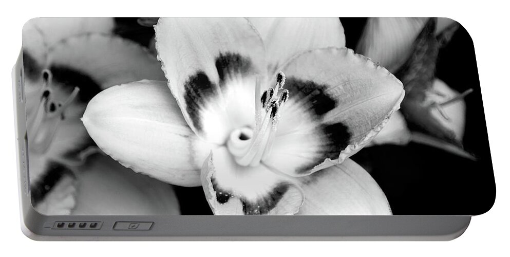 Flowers Portable Battery Charger featuring the photograph Black and White Lily by Christina Rollo