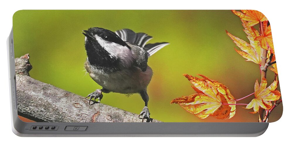 Black-capped Chickadee Portable Battery Charger featuring the photograph Black-capped Chickadee 3 by Dennis Cox Photo Explorer