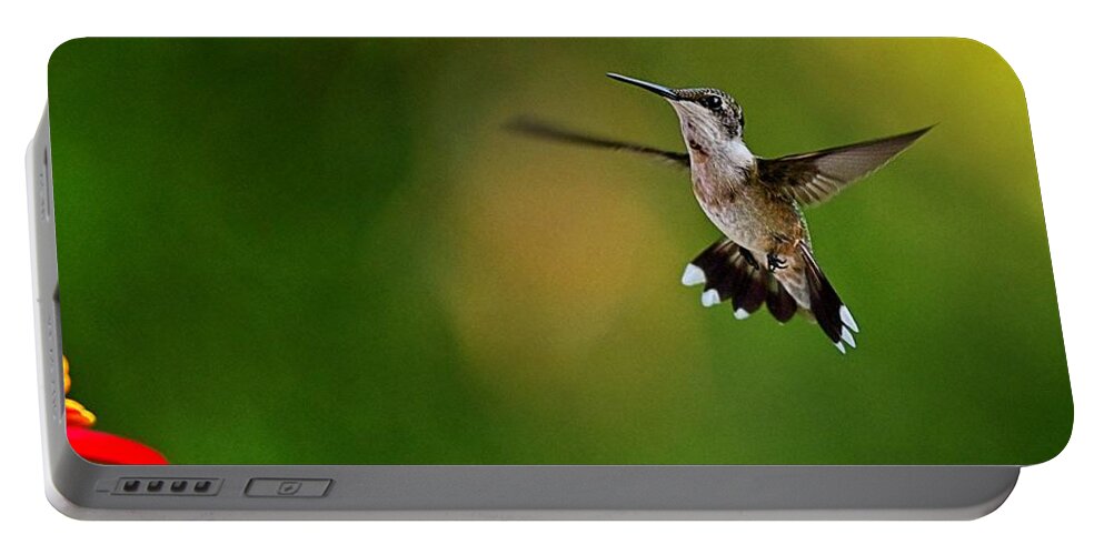 Wildlife Portable Battery Charger featuring the photograph Black-chinned Hummingbird by John Benedict