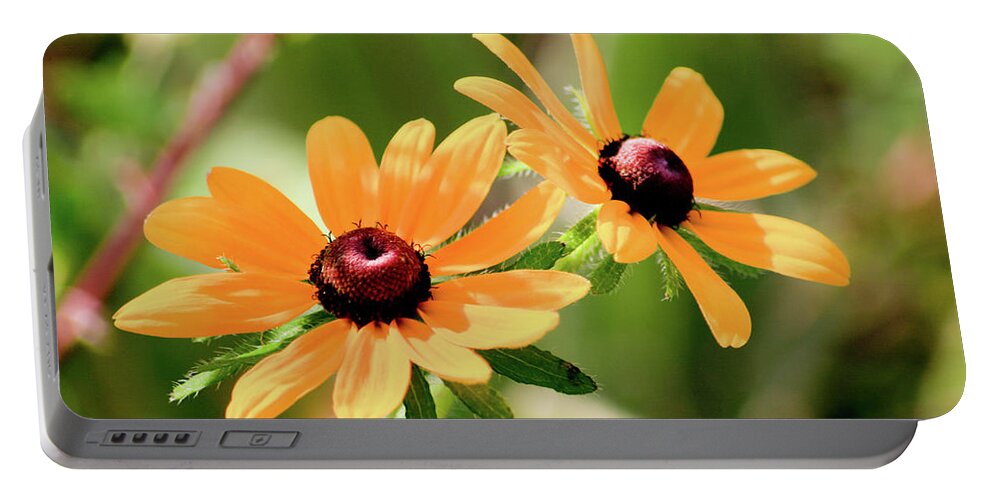 Black-eyed Susan Portable Battery Charger featuring the photograph Black-Eyed Susan Double by Rich S