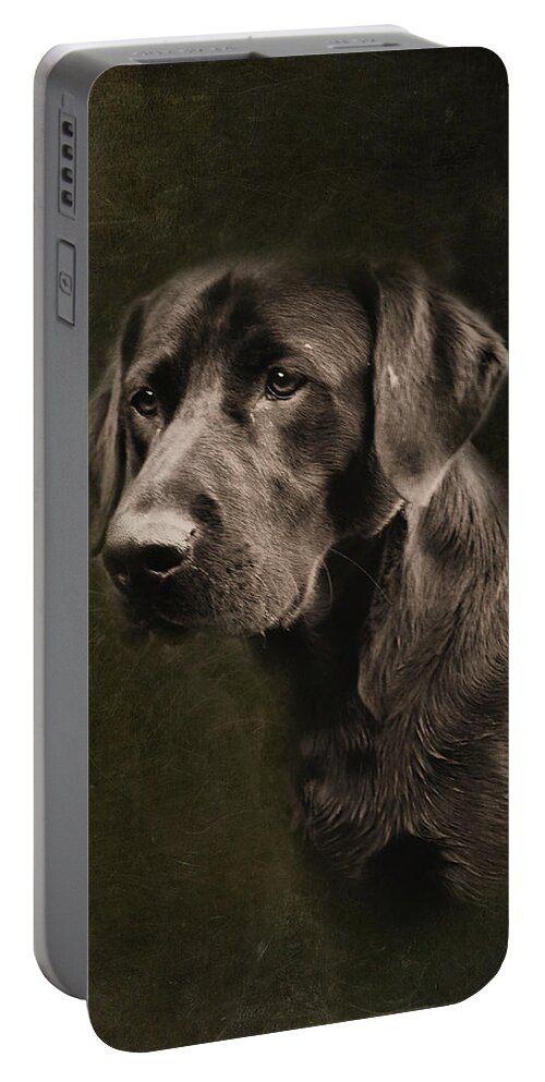Black Lab Portable Battery Charger featuring the photograph Black Labrador by Sally Bauer