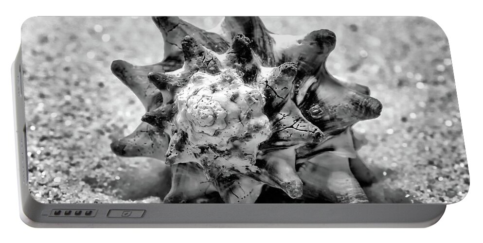 B&w Portable Battery Charger featuring the photograph Black Murex Shell by Anthony Sacco
