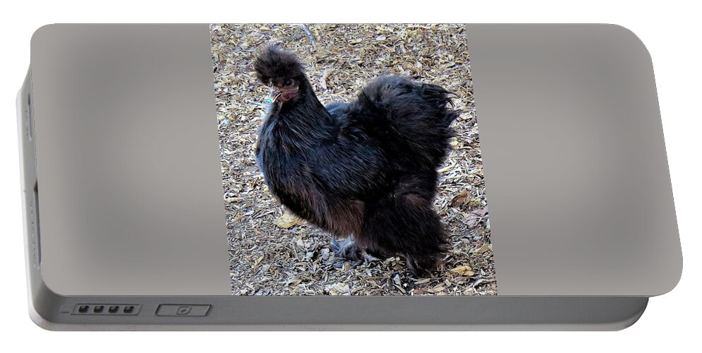 Black Chickens Portable Battery Charger featuring the photograph Black Silkie Bantam by Linda Stern