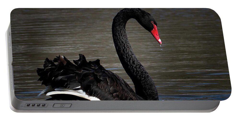 Black Swan Portable Battery Charger featuring the photograph Black Swan by Mindy Musick King