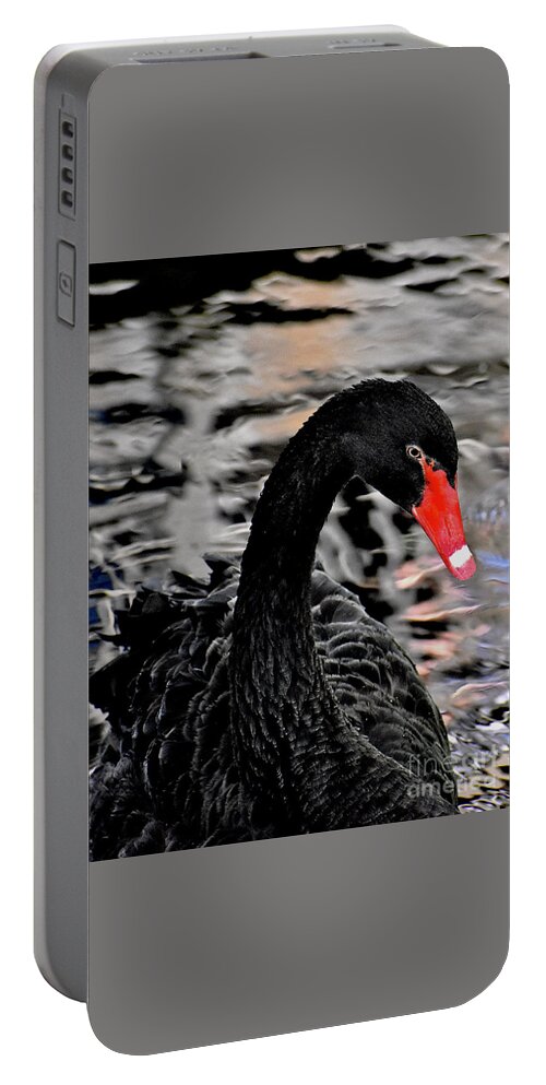 Swan Portable Battery Charger featuring the photograph Black Swan Relaxing by Linda Brittain