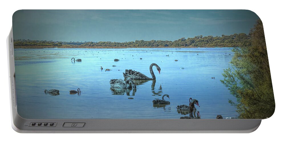 Lake Joondalup Portable Battery Charger featuring the photograph Black Swans on Lake Joondalup by Elaine Teague