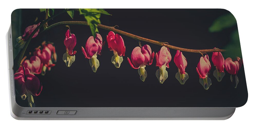 Bleeding Hearts Portable Battery Charger featuring the photograph Bleeding Hearts Flowers by Carol Senske