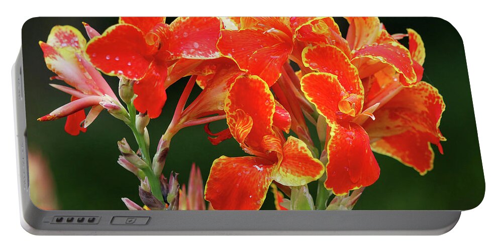 Flower Portable Battery Charger featuring the photograph Blooming Brightly by Mary Anne Delgado