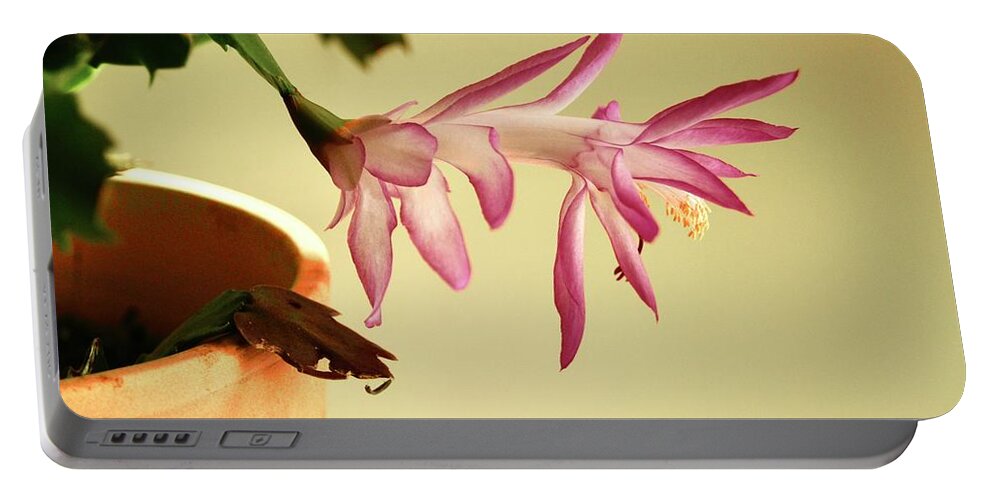 Flowers Portable Battery Charger featuring the photograph Blooming Christmas Cactus by Margie Avellino