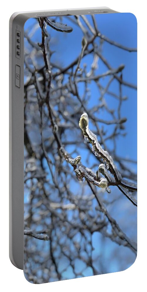 Winter Portable Battery Charger featuring the photograph Blossom on Ice by Lisa Pearlman