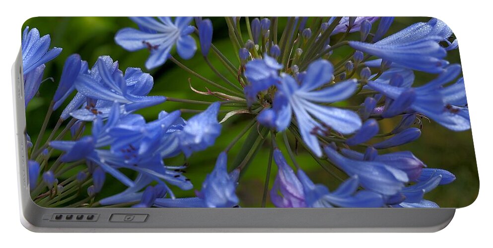 Botanical Portable Battery Charger featuring the photograph Blue Agapanthus by Richard Thomas