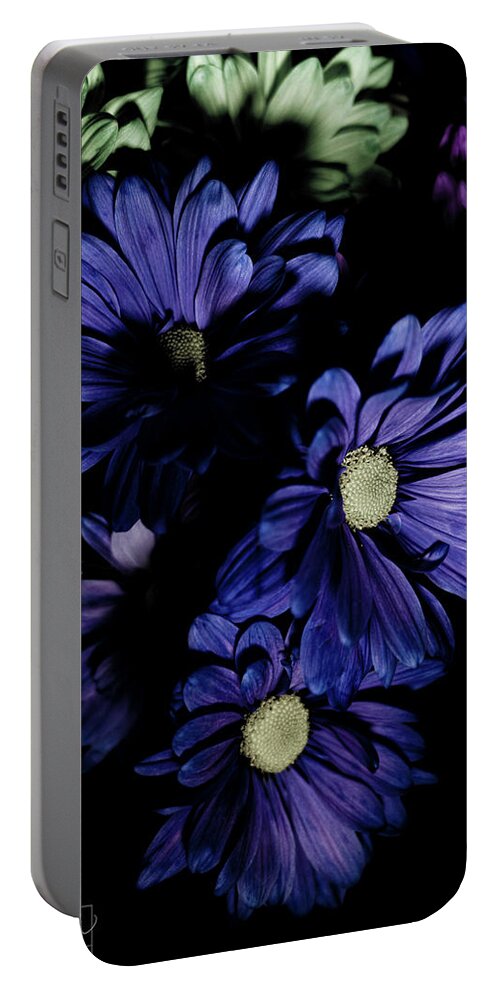 Blue Flowers Portable Battery Charger featuring the photograph Blue Chrysanthemum by Darcy Dietrich