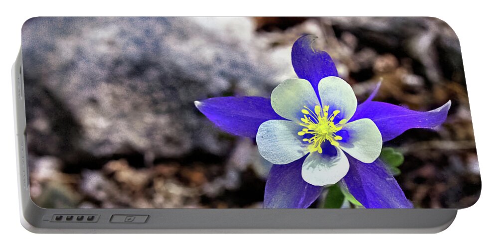 Columbine Portable Battery Charger featuring the photograph Blue Columbine by Bob Falcone