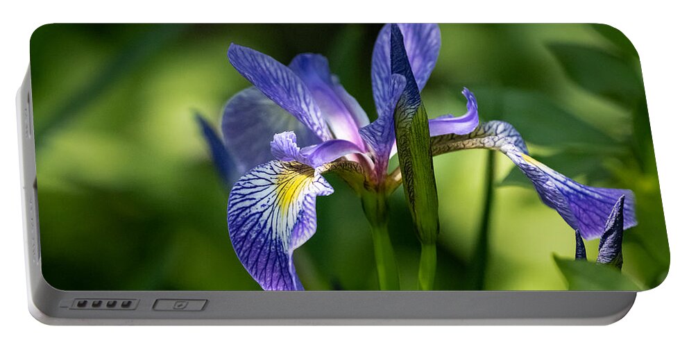 Flower Portable Battery Charger featuring the photograph Blue Flag Iris by Linda Bonaccorsi