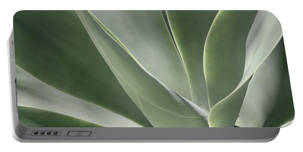 Agave Portable Battery Charger featuring the photograph Blue Flame Agave 3 by Alison Frank