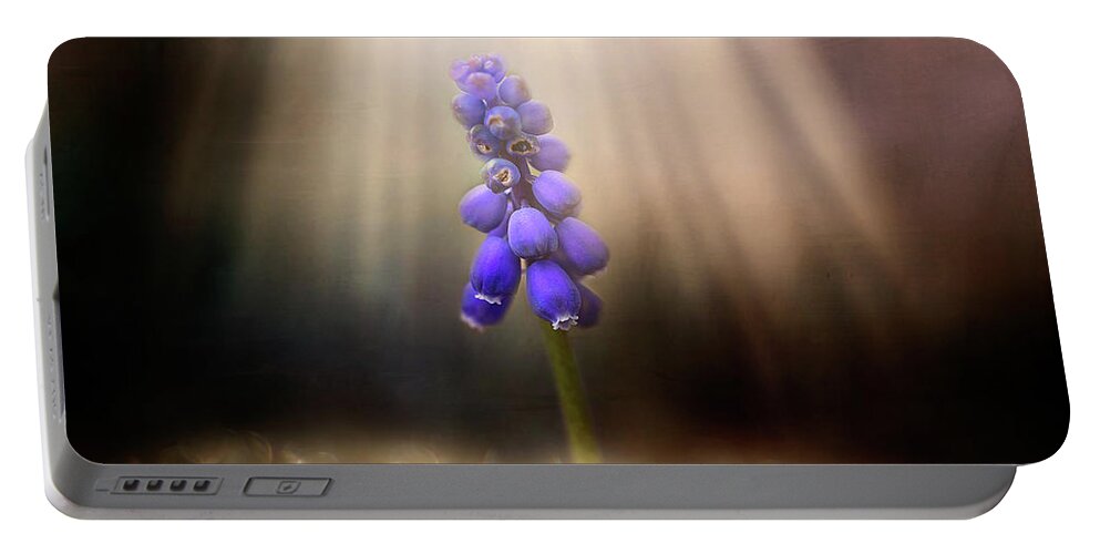 Blue Grape Hyacinth Print Portable Battery Charger featuring the photograph Blue Grape Hyacinth Print by Gwen Gibson