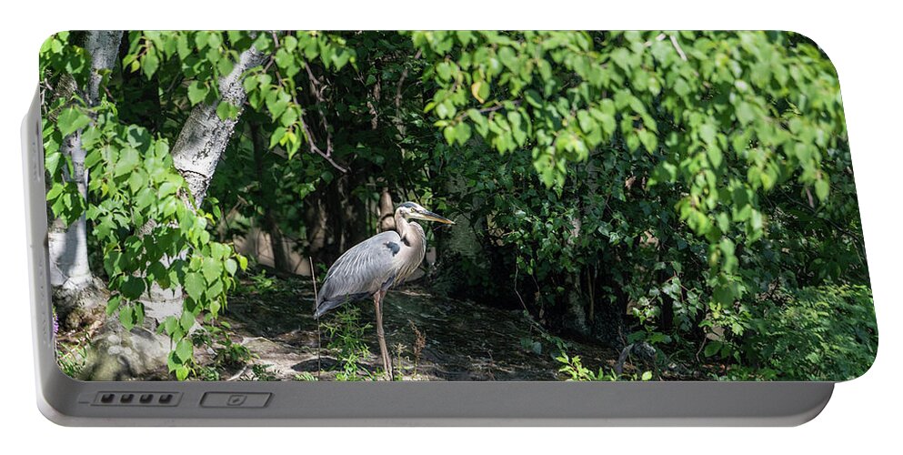 Tree Portable Battery Charger featuring the photograph Blue Heron Under A Tree by Lorraine Cosgrove