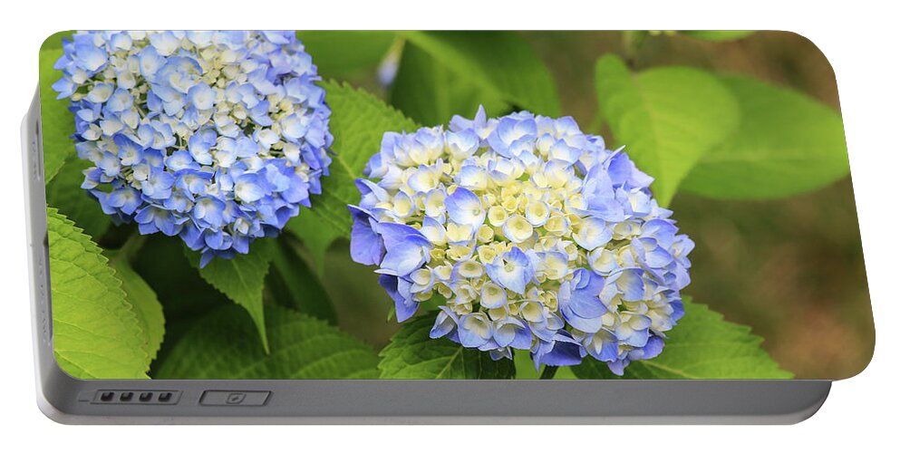 Colors Portable Battery Charger featuring the photograph Blue Hydrangea Deux by Tanya Owens