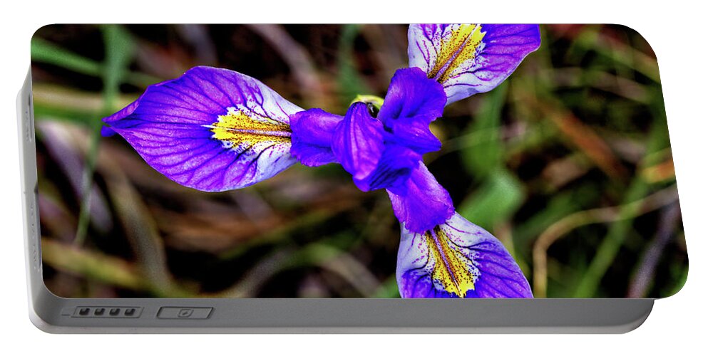 Flower Portable Battery Charger featuring the photograph Blue Iris by Bob Falcone