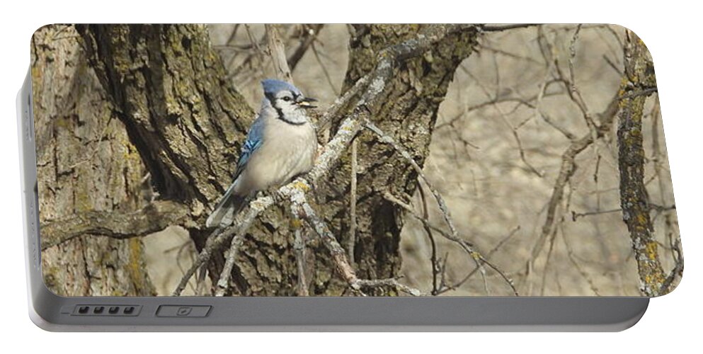 Blue Jay Portable Battery Charger featuring the photograph Blue Jay 3 by Amanda R Wright