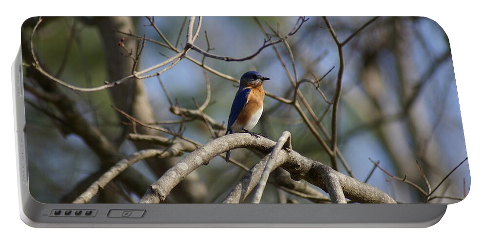  Portable Battery Charger featuring the photograph Blue Lookout by Heather E Harman