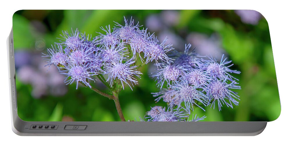 Aster Family Portable Battery Charger featuring the photograph Blue Mistflower DFL1215 by Gerry Gantt