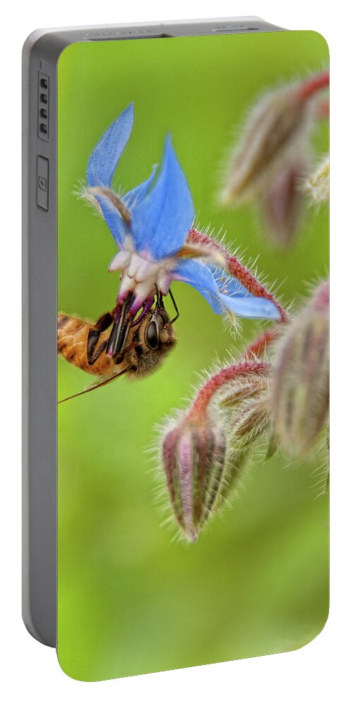 Bee Portable Battery Charger featuring the photograph Blue Pedal Diner by Neil Shapiro