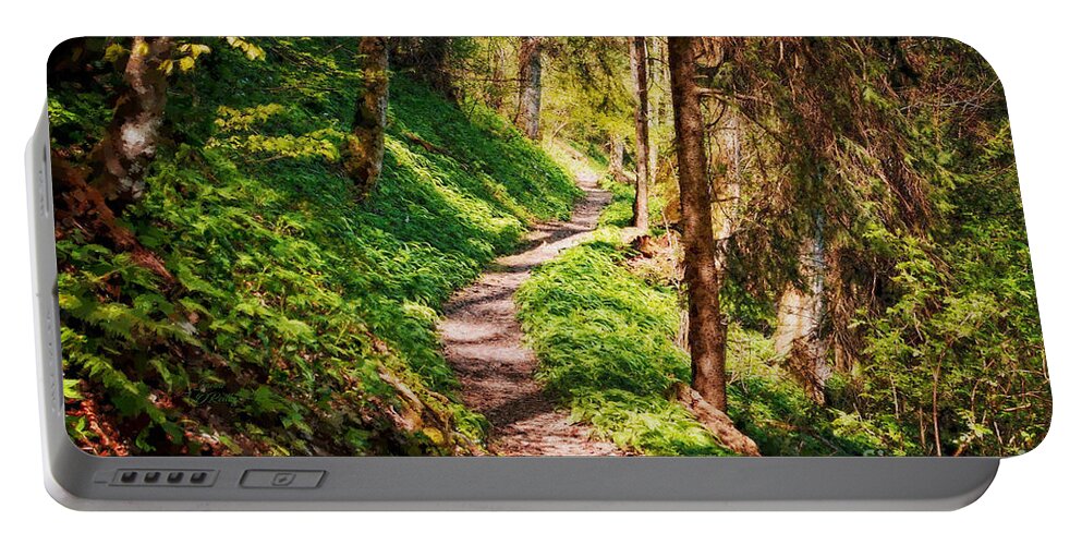 Blue Ridge Parkway Hiking Trail Portable Battery Charger featuring the mixed media Blue Ridge Parkway Hiking Trail by Sandi OReilly