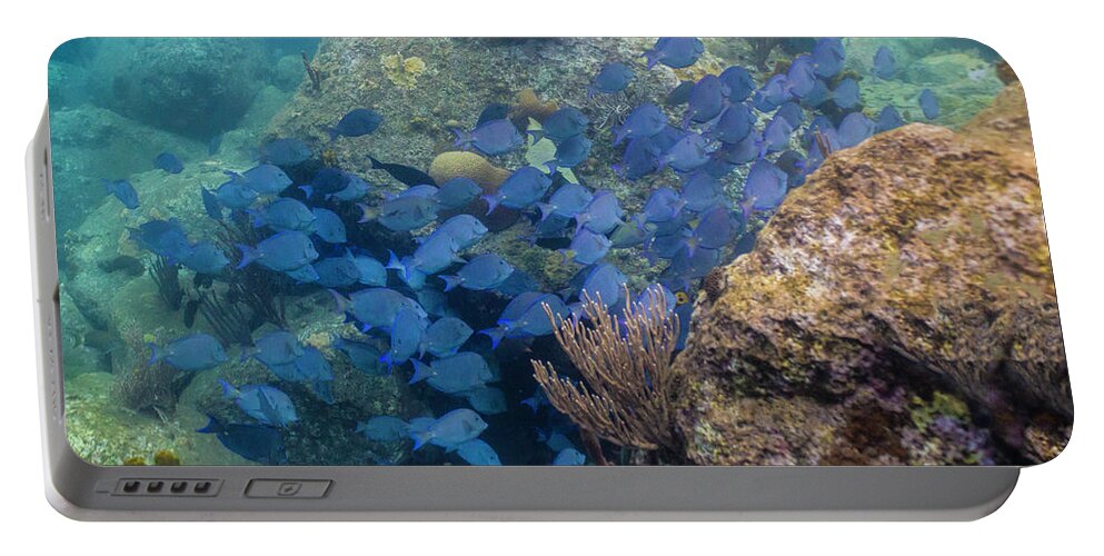 Ocean Portable Battery Charger featuring the photograph Blue School by Lynne Browne