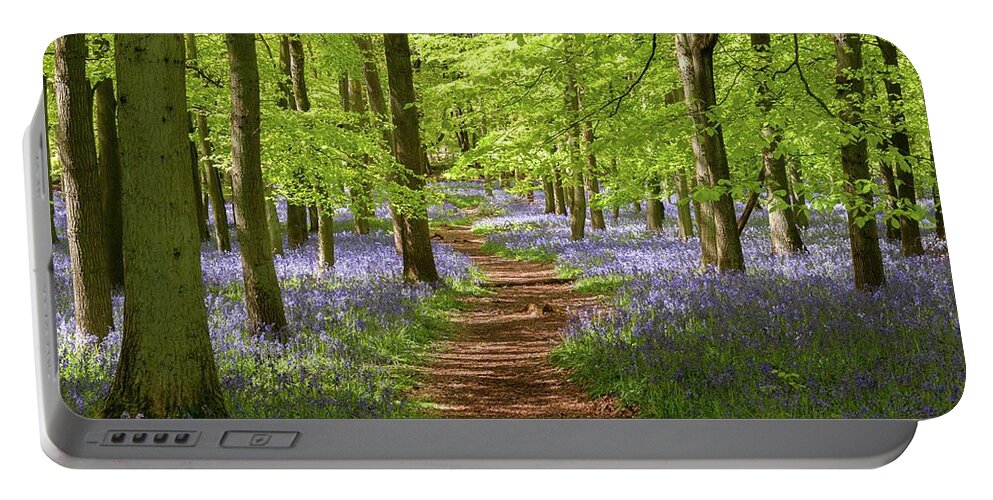 Ashridge Estate Portable Battery Charger featuring the photograph Bluebells, Dockey Wood, England by Sarah Howard