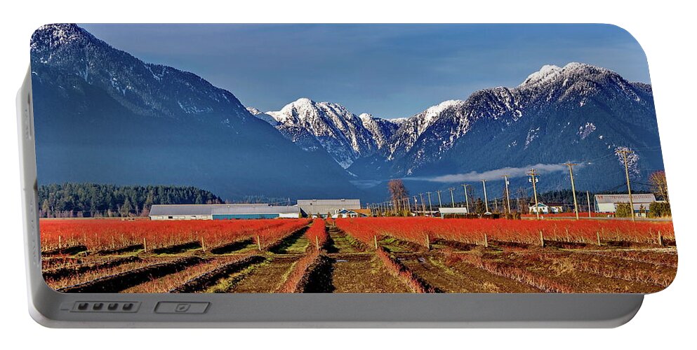 Alex Lyubar Portable Battery Charger featuring the photograph Blueberry plantation in a mountain valley by Alex Lyubar