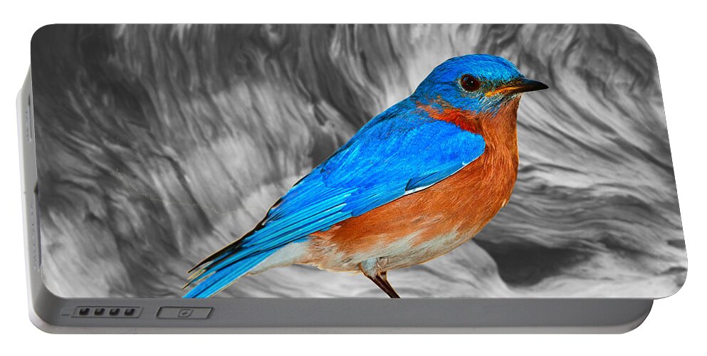 Bluebird Portable Battery Charger featuring the photograph Bluebird by Ally White