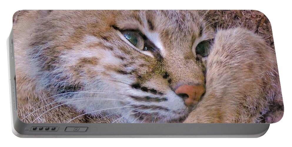 - Bobcat- Just A Kitty Portable Battery Charger featuring the photograph - Bobcat- Just a Kitty by THERESA Nye