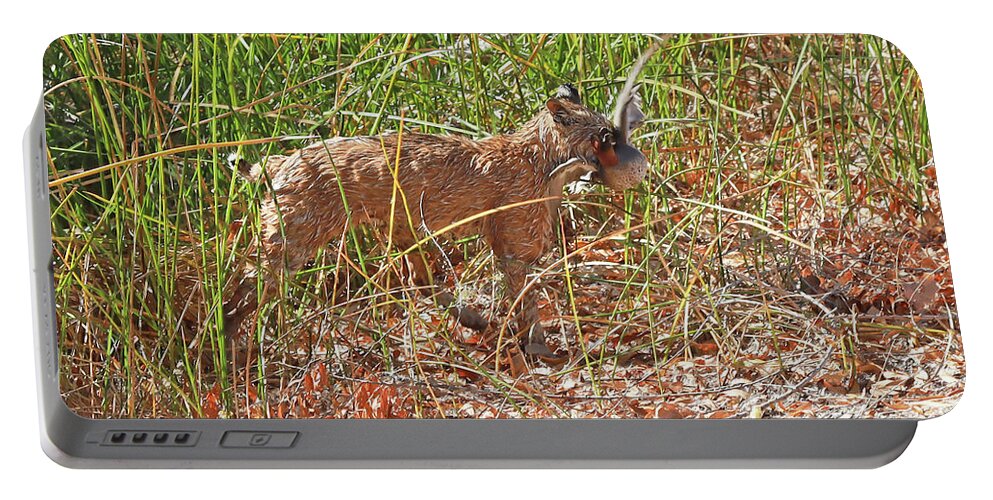 Bobcat Portable Battery Charger featuring the photograph Bobcat with Prey by Paula Guttilla