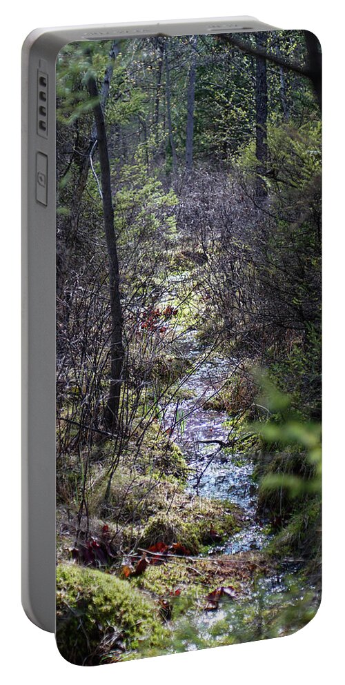 #bog #dreamy #dreamybog #bogdreams #sprucelakebog #naturepreserve #sunbeamsinthebog Portable Battery Charger featuring the photograph Bog Dreams by Kimberly Mackowski