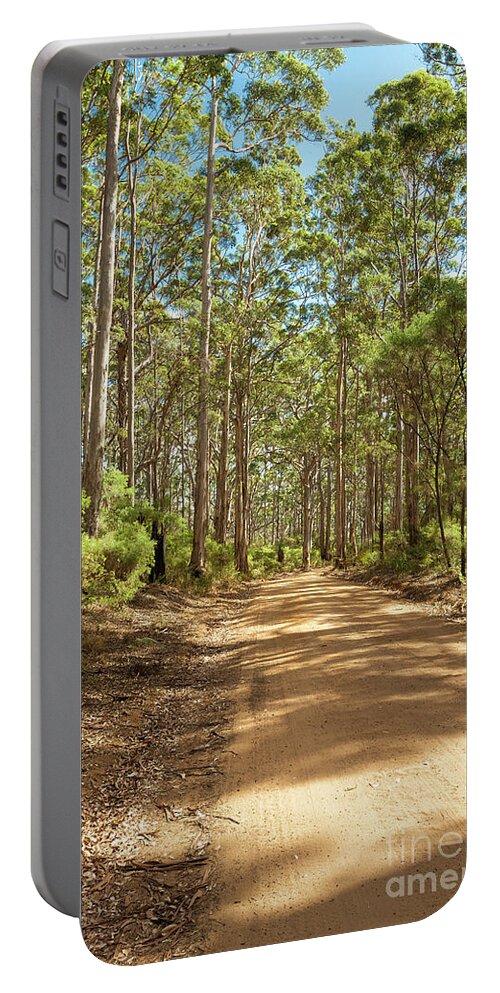 Boranup Portable Battery Charger featuring the photograph Boranup Forest, Margaret River, Western Australia 4 by Elaine Teague