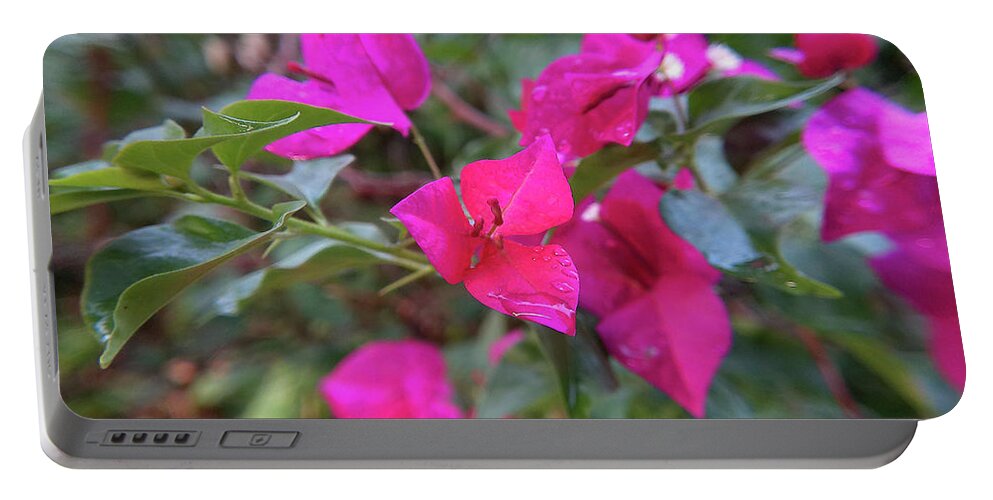 Bougainvillea Portable Battery Charger featuring the photograph Bougainvillea Near Sunset by Rohvannyn Shaw