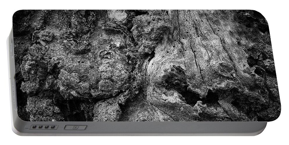 Fine Art Photography Portable Battery Charger featuring the photograph Boyden XII BW by David Gordon