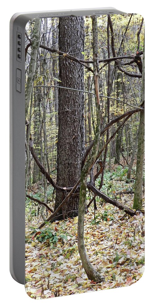 Brambles Portable Battery Charger featuring the photograph Brambles, Tree Tangle by Lise Winne