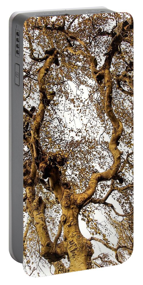 Tree Branch Sky Leaves Portable Battery Charger featuring the photograph Branch Sky by John Linnemeyer