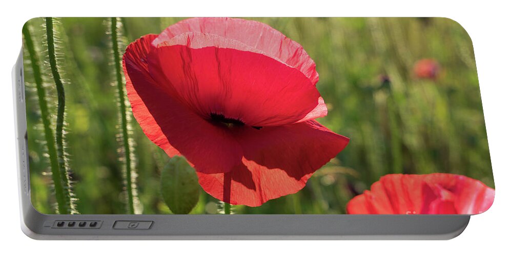 Poppy Portable Battery Charger featuring the photograph Bright red petals of a poppy by Adriana Mueller